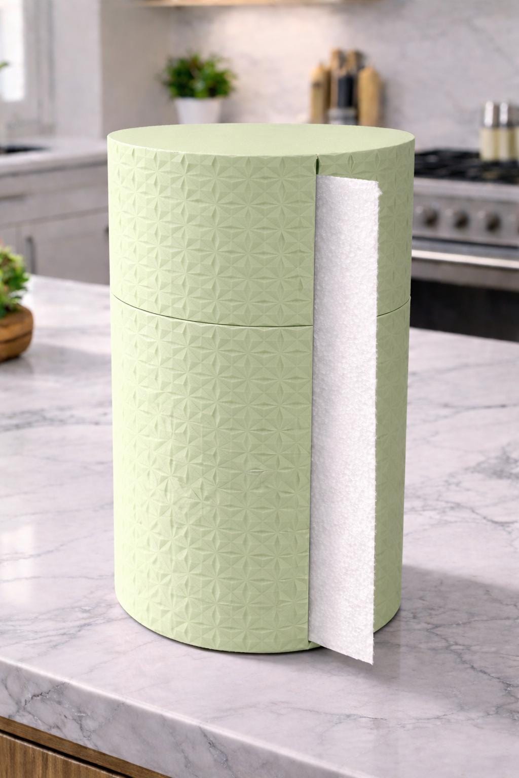 Paper towel holder dispenser - Keep bugs out!