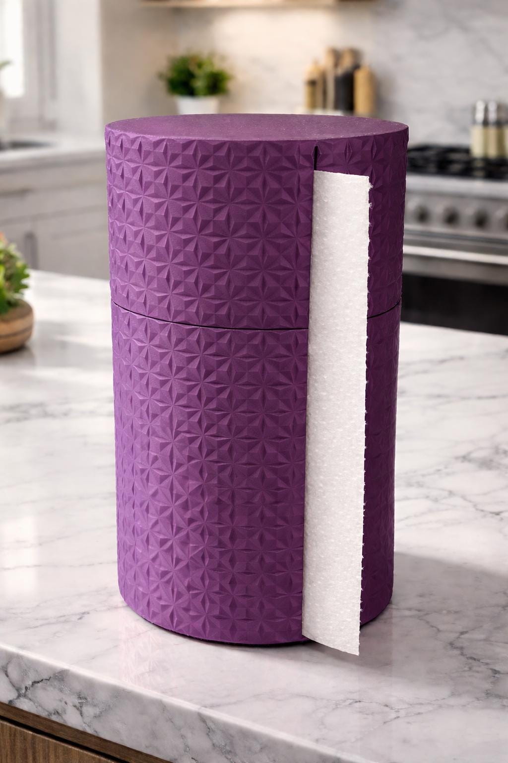 Paper towel holder dispenser - Keep bugs out!